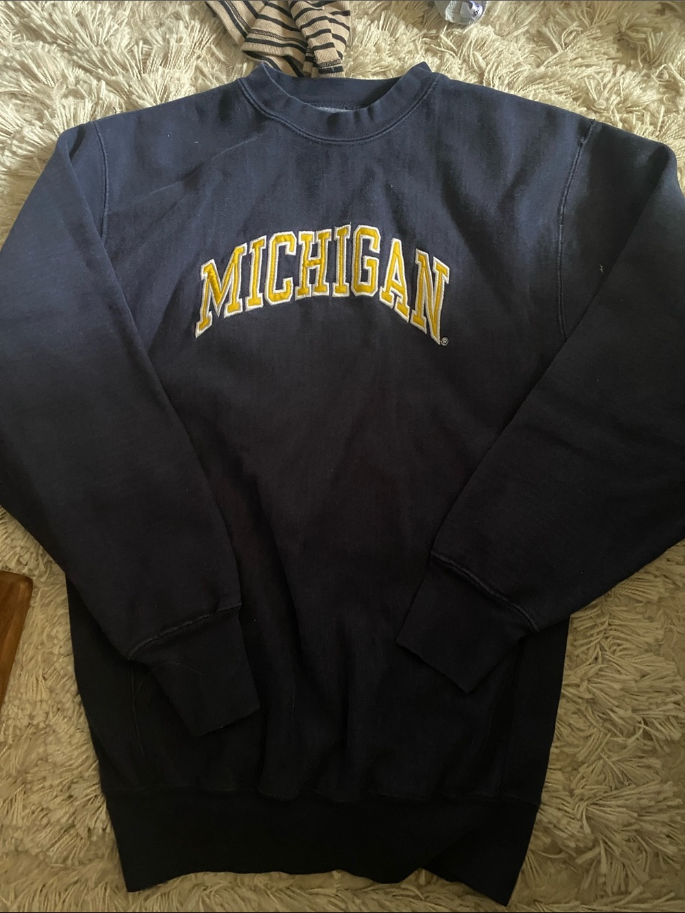 Michigan crewneck